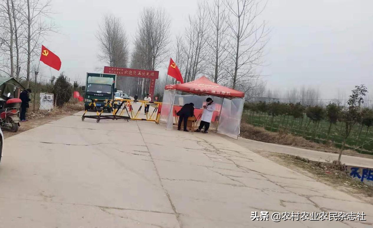 河南省项城县李寨镇,项城市李寨镇疫情防控今年