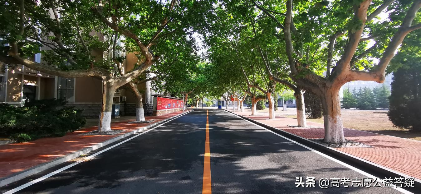 航海家的摇篮，大连海事大学实力分析