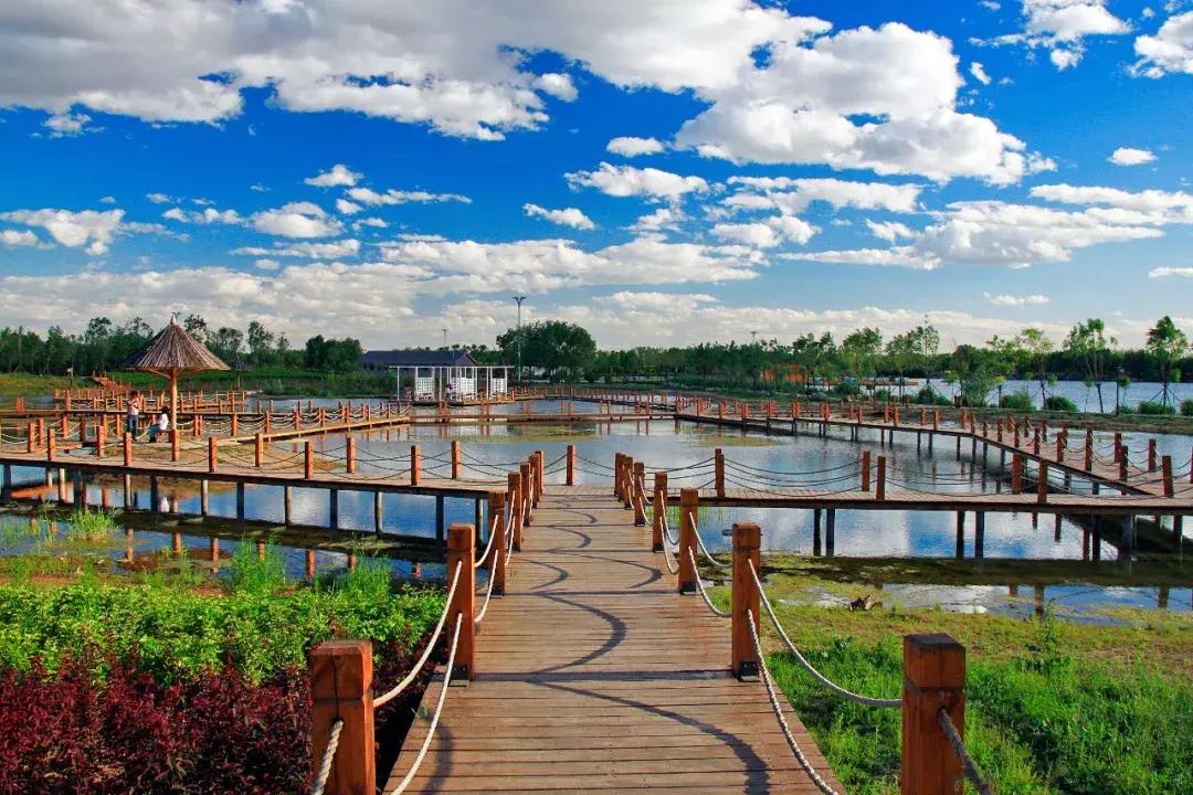 鍛煎拰娴╃壒闈掑煄椹跨珯濂栧姳,鍛煎拰娴╃壒闈掑煄椹跨珯璞崕鍚堥泦