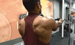 肩膀不如别人宽，使劲练就对了！6个高效动作，让肩膀更宽更结实