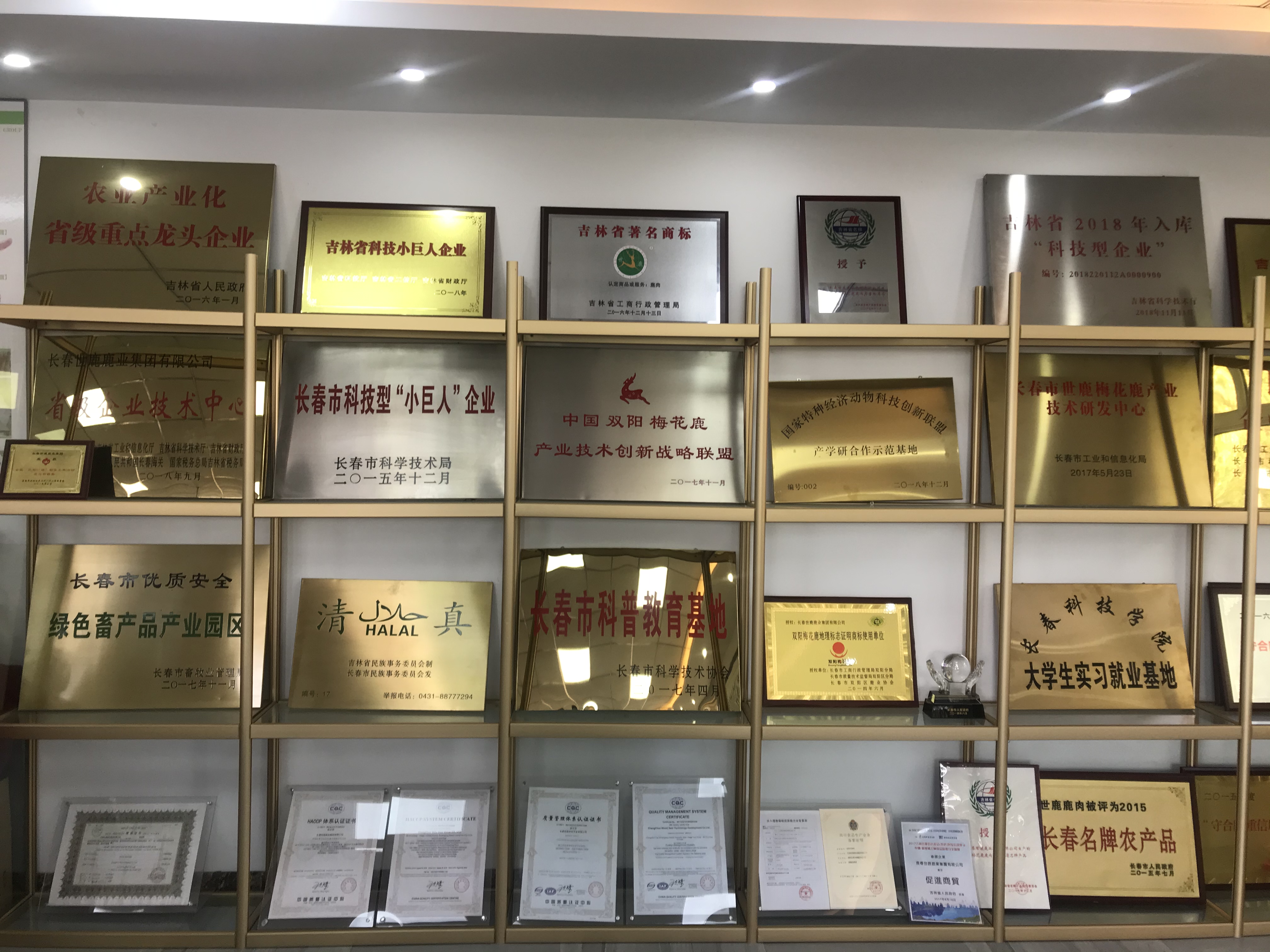 爱心助力社会公益,爱心捐赠助成长