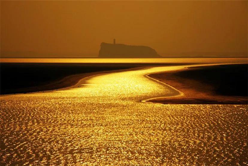 宫颈癌康复期食谱大全,我得宫颈癌的经历