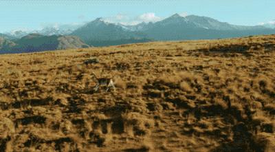 无人机黑技术大全,无人机黑话深度解析