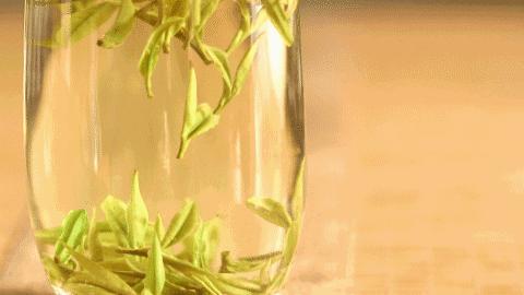 肖坑茶，是春天对爱茶人的馈赠