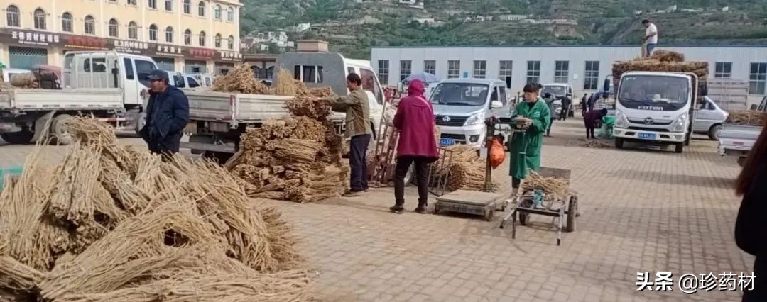 药材产地行情日报,2020年7月药材市场药材价格快讯