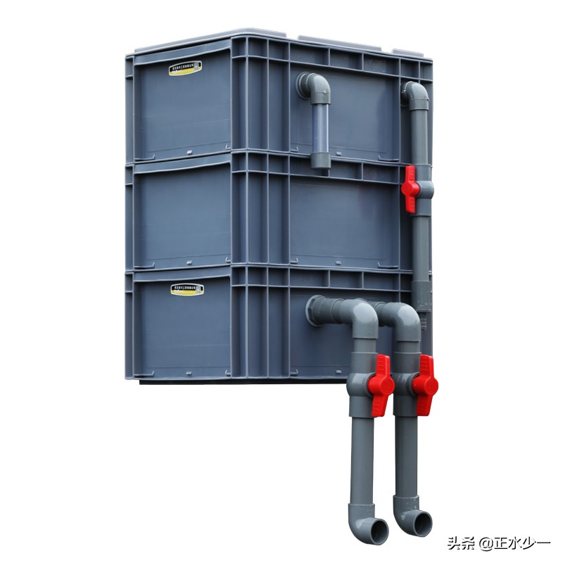 养金鱼适合圆形高杠还是低杠,金鱼怎么建缸容易养好