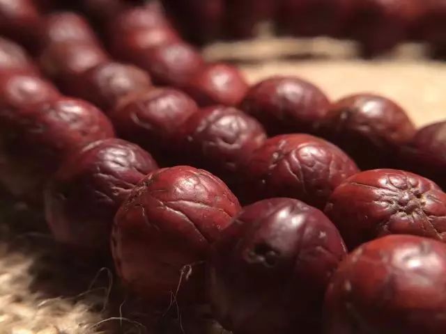 凤眼菩提的眼睛,尼泊尔凤眼菩提眼睛都是凸起来的