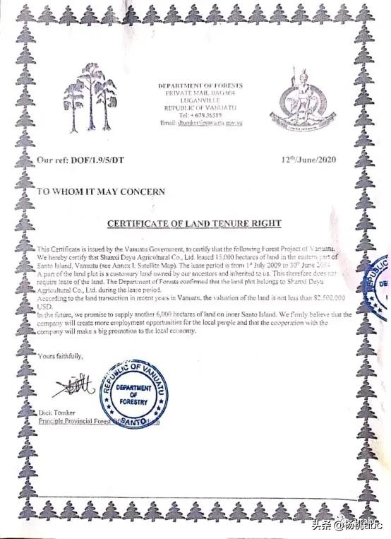 估价100游戏卡被拍卖炒到8700万 (游戏王青眼白龙拍卖8700万元)