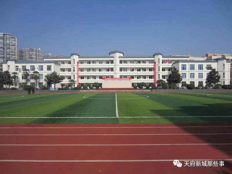 天府新区三大教育集团,天府新区五大教育集团