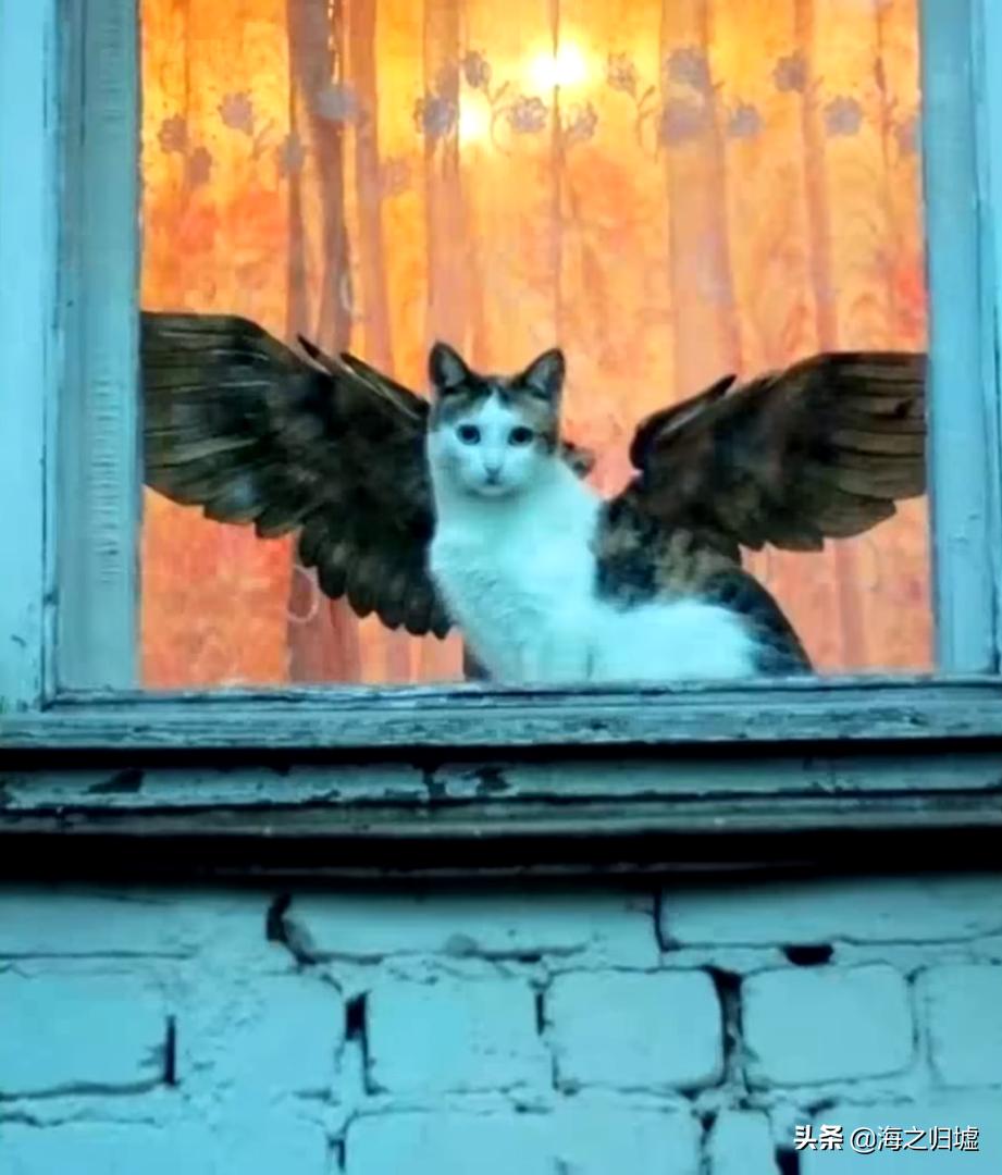 16张不可思议的巧合照片,33张不可思议的巧合照片