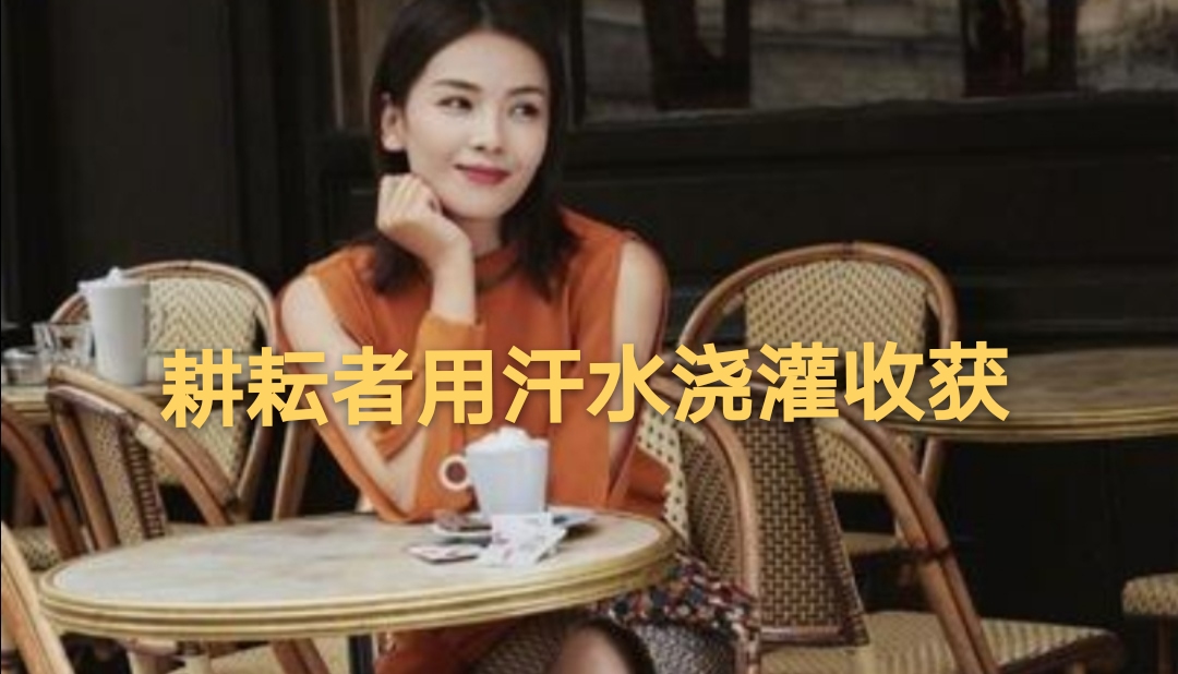 新概念英语第三册19重点词汇,新概念英语第3册第40课知识点