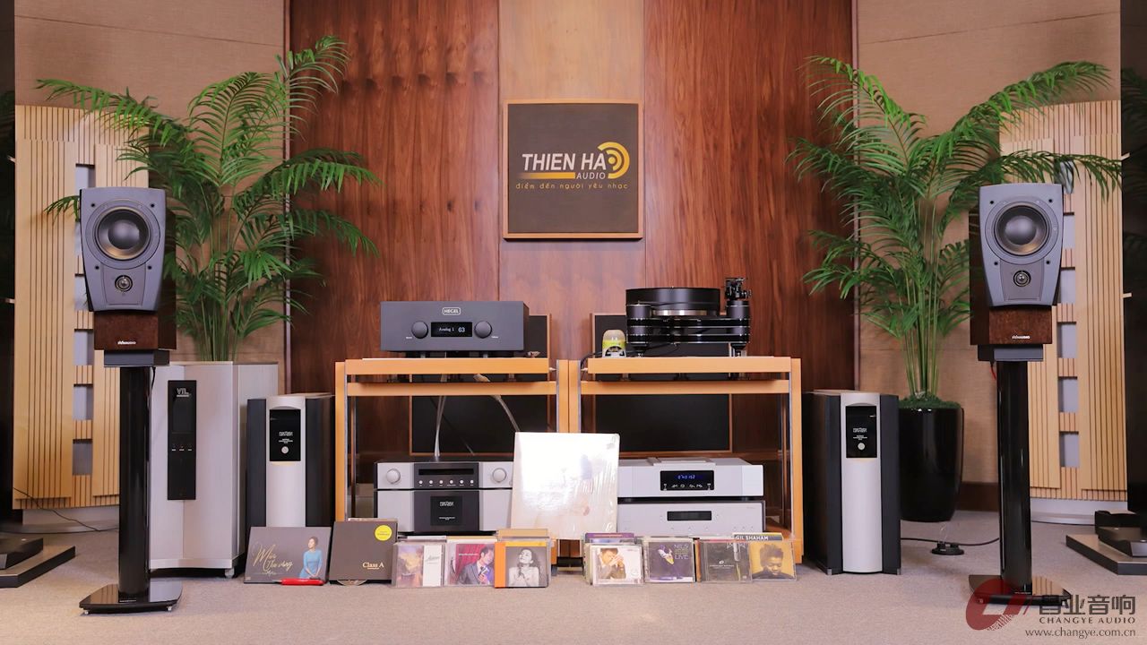 丹拿怎么才能玩好,丹拿玩被动还是主动好