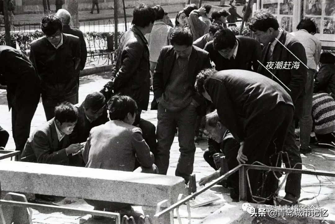 青岛八大风景区都有哪,青岛最美的十大公园