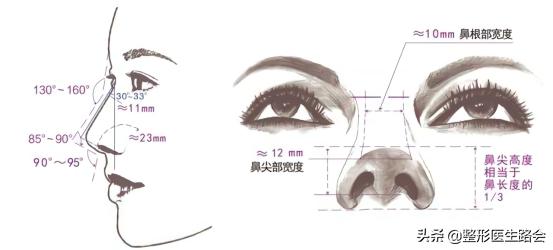 精致水滴鼻长什么样,好看的美鼻标准图