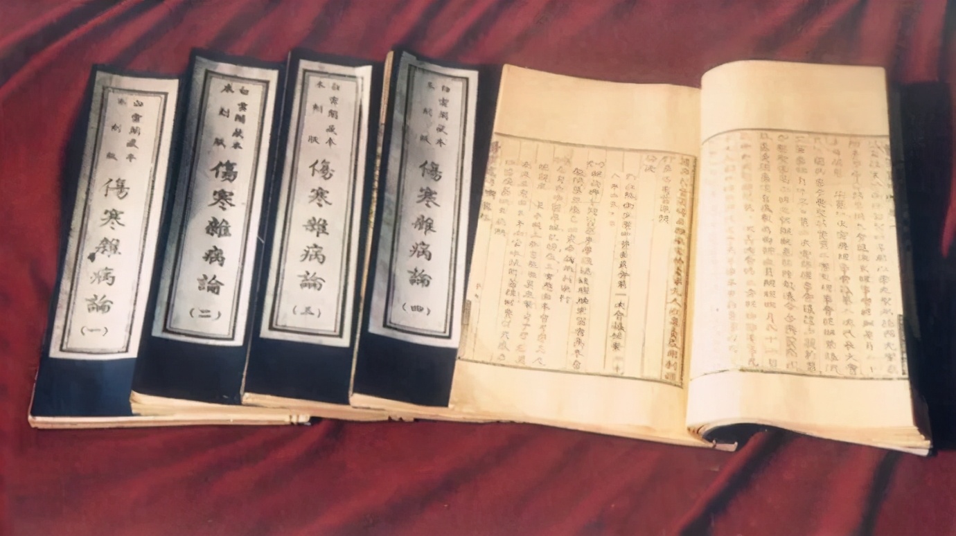 中医络脉的构成,络病学代表方剂