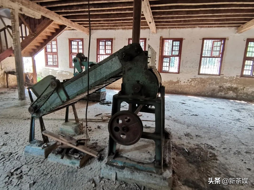 南糯山茶叶的故事,南糯山茶厂视频