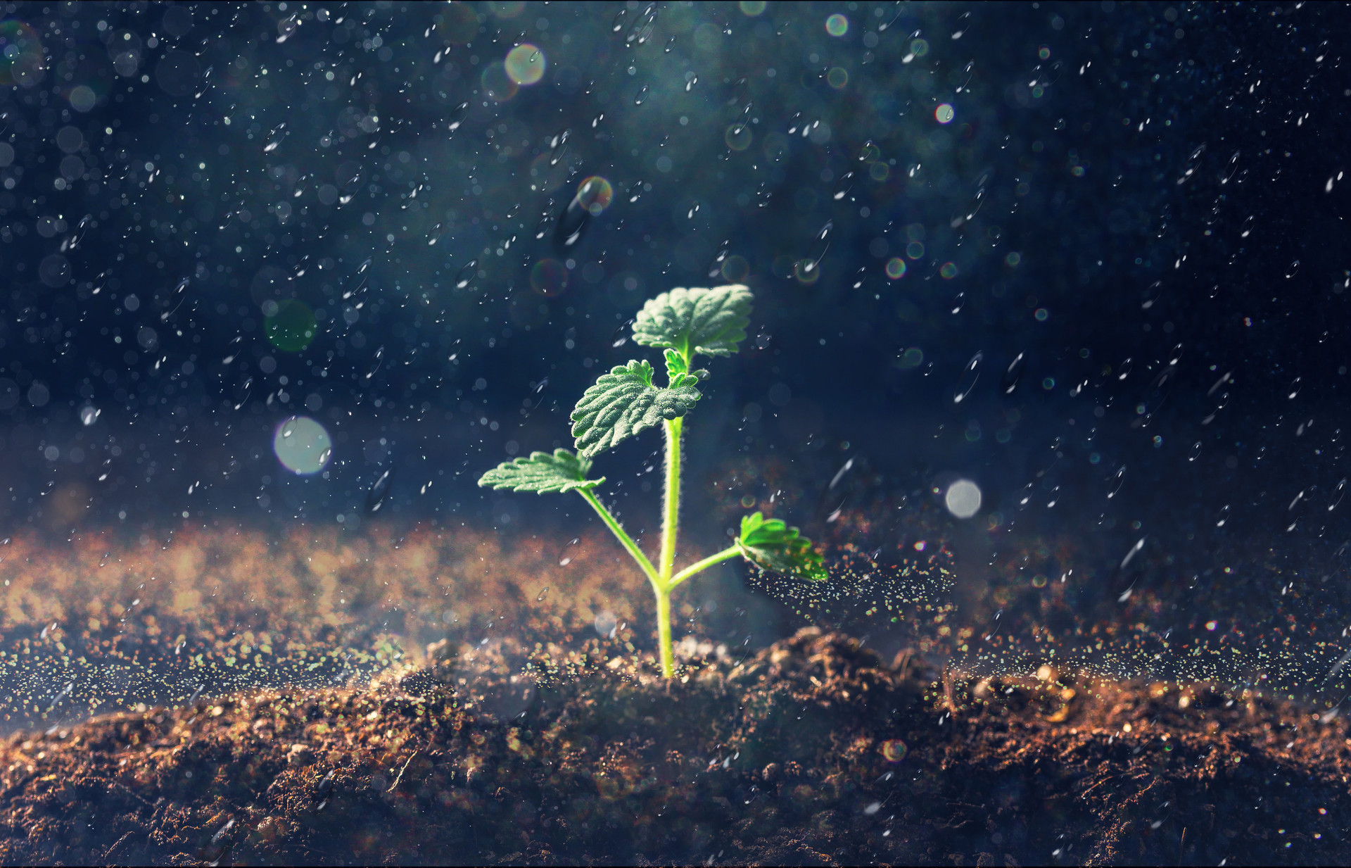 俞敏洪创业逆袭,俞敏洪逆袭成功的事例