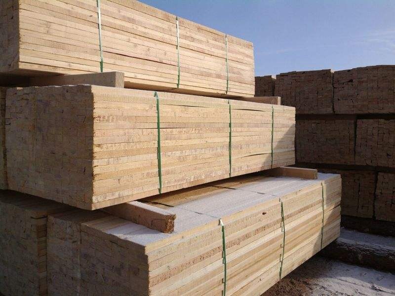 白松与落叶松木材的区别,樟子松木材与落叶松木材的区别