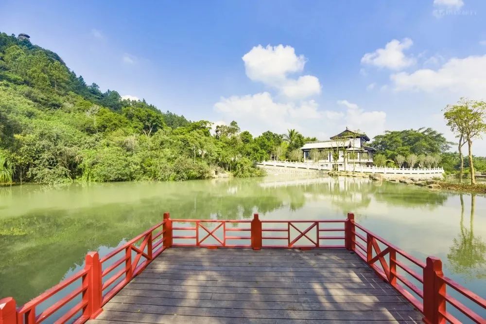 美美美！海南这几家新增的“金宿级”民宿，你想要的诗和远方都有