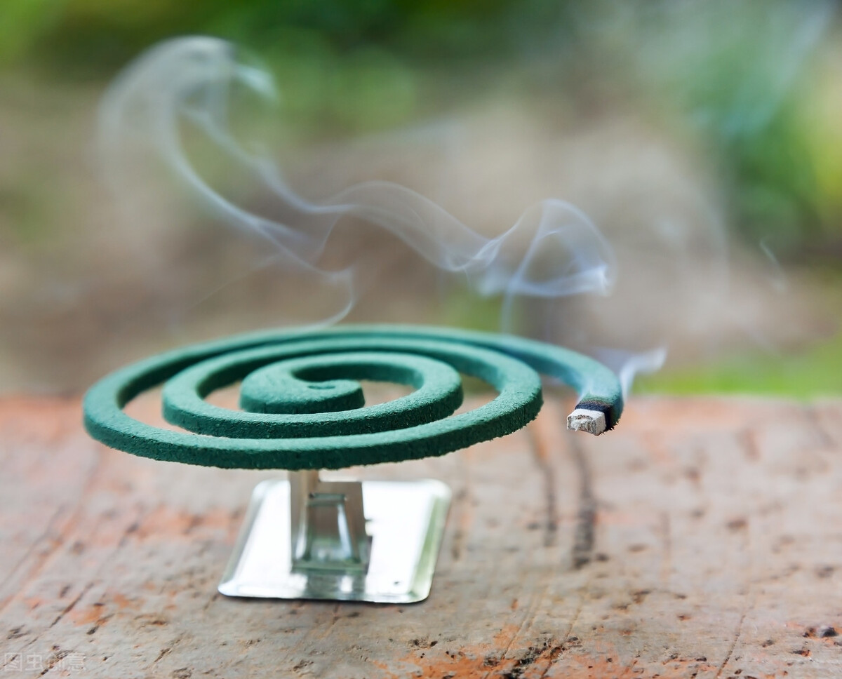 在公益组织做志愿者的体验,在红十字会当志愿者