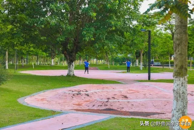 松山湖风景区松湖烟雨是哪个门,松山湖景区松湖烟雨有哪些好玩的