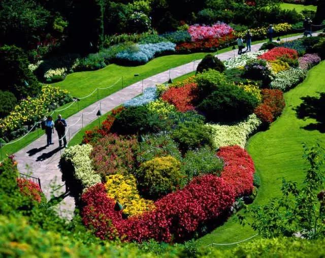 矿坑改造最美公园,矿坑改造湿地公园视频