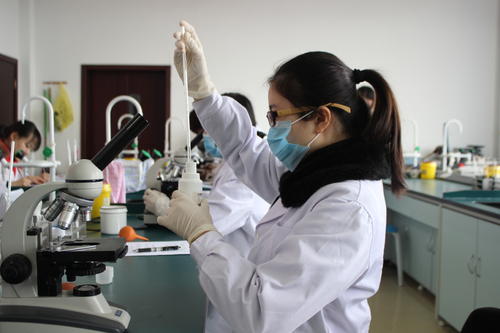 贵州即将改名的三所大学,贵州三所即将改名的大学