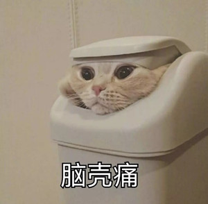 澳洲入境必备清单,最新澳洲入境详细流程