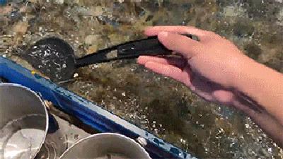 扬州有几家知名的海鲜自助餐厅,扬州海鲜自助餐厅排名第一名