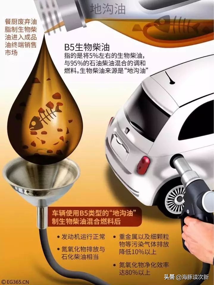 地沟油生物柴油前景,生物柴油发展