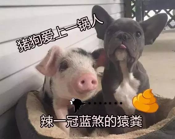 广东人讲普通话很容易闹出笑话,广东人讲普通话过于真实