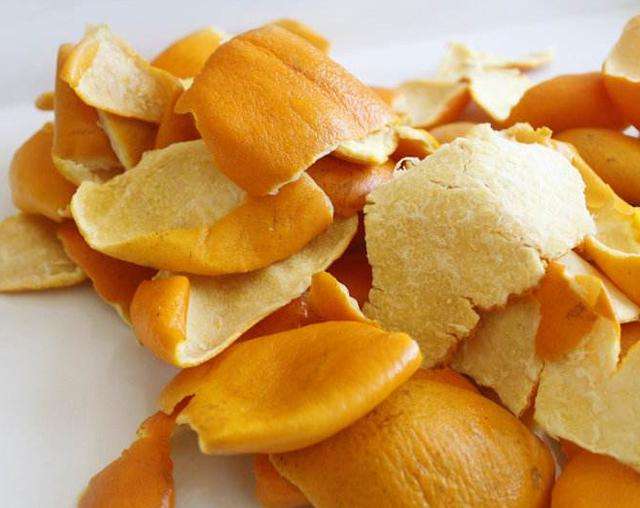 怎么抓跳蚤最好方法,对付跳蚤最有效方法