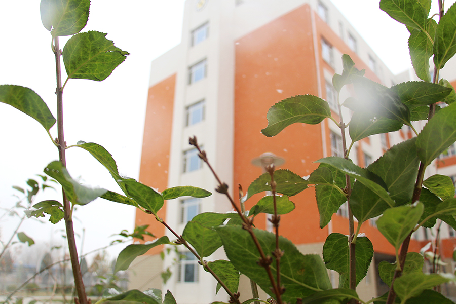 雪中的校园风景,坐落在雪山戈壁上的学校真美丽