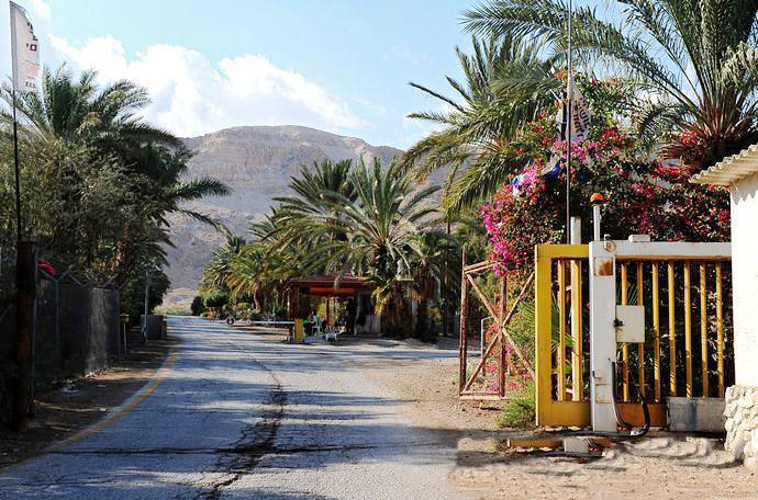 以色列是一个知恩图报的国家吗,为什么说以色列是一个包容的国家