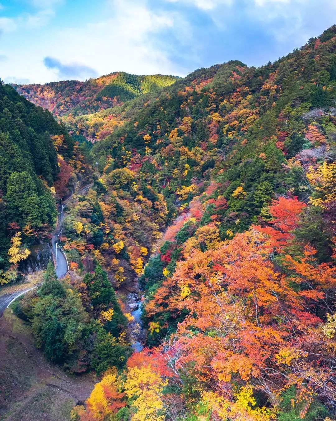 做个‘追枫少女’领略红叶之美！