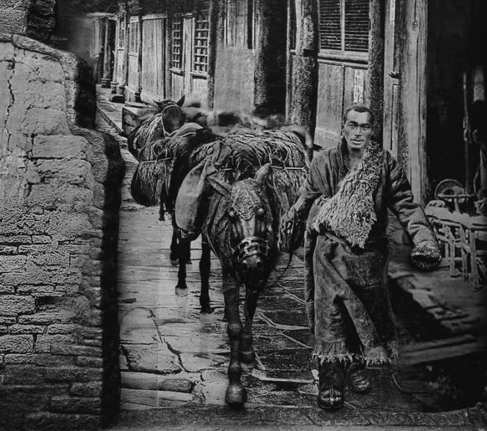 茶马的前世今生,遗失在茶马古道的前世今生