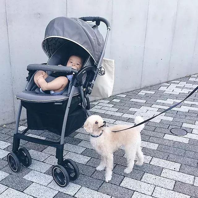 母婴必买的四种产品,日本妈妈母婴品