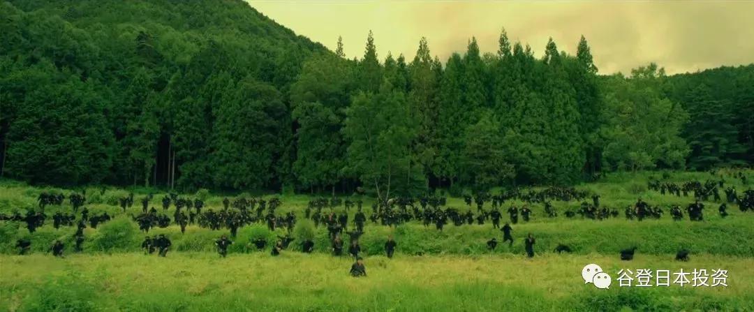 「谷登知识星球」是飞檐走壁刷刷刷丢飞镖的Ninjia