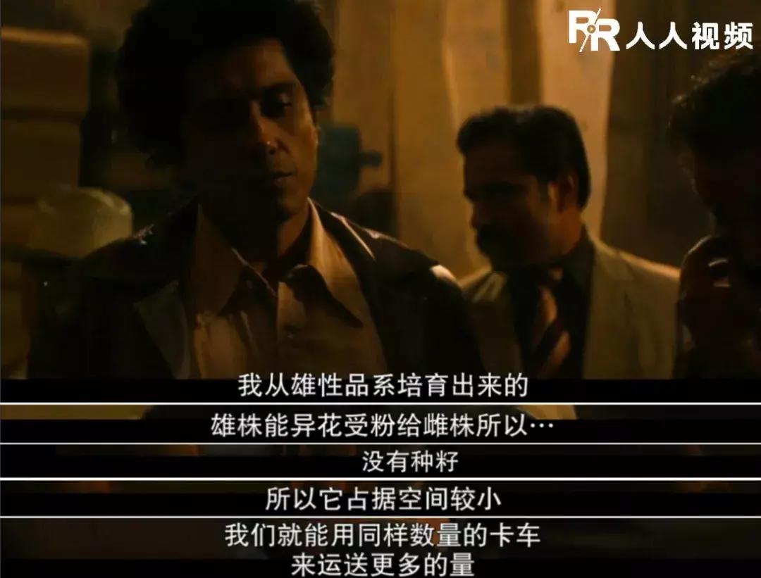 逆天神剧一回归就9.3,剧组人员因它被枪杀