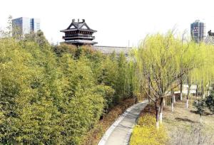 江苏省盐城市经济状况,盐城简介江苏省地级市