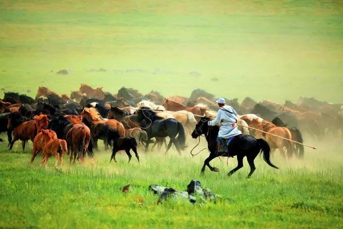 突然想去新疆旅游,突然好想去呼伦贝尔