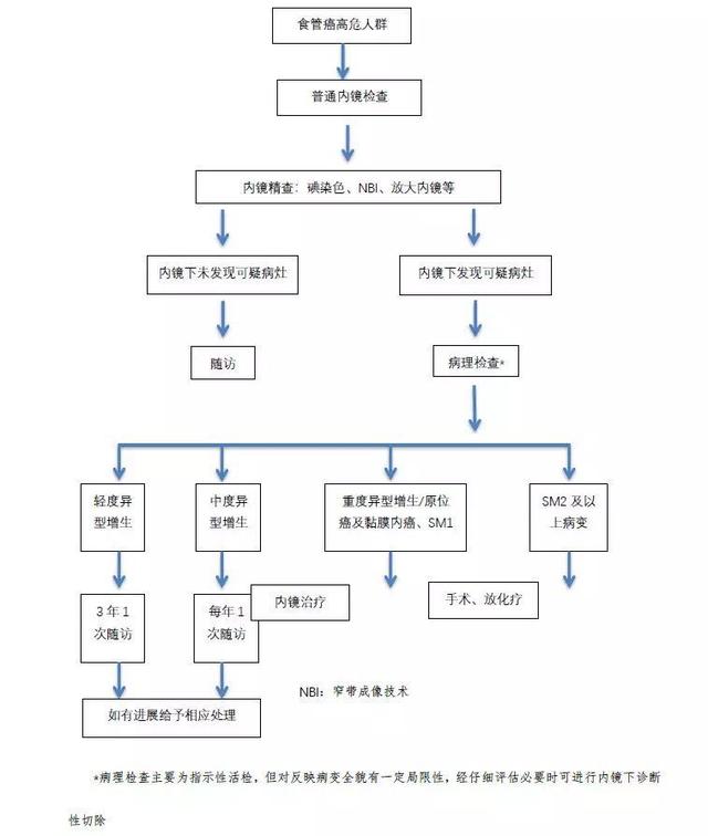 食管癌诊疗规范（2018年版）