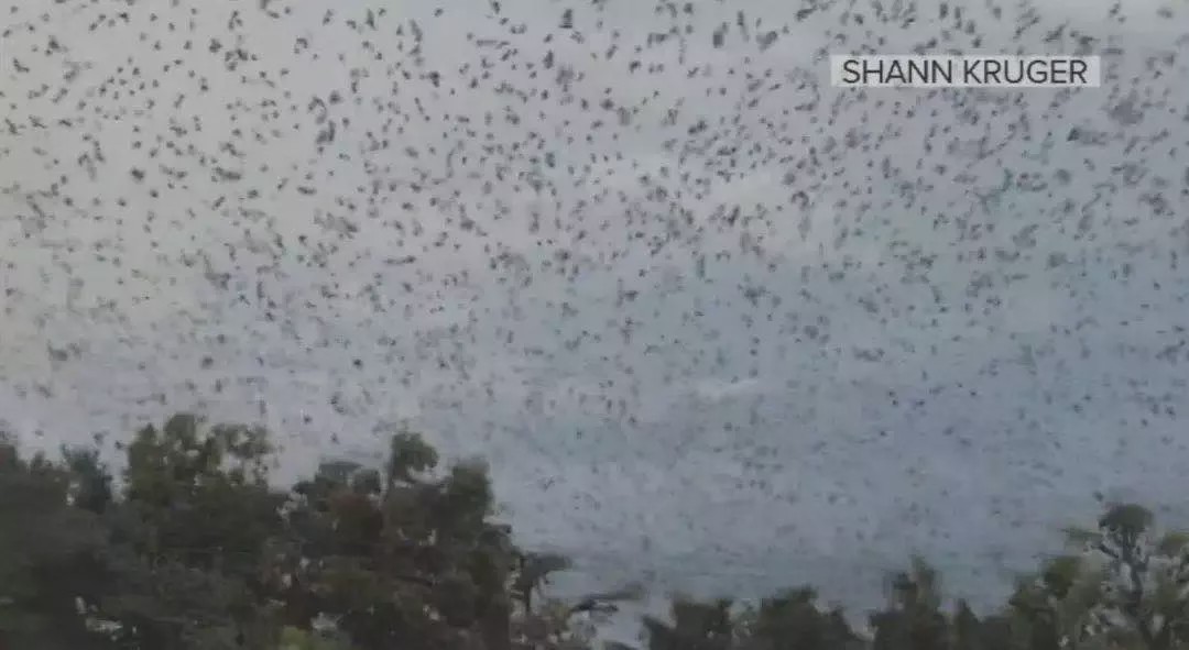 15岁怀孕，她被骗吃下*药炸**，一尸两命：有些人，这辈子不配为人