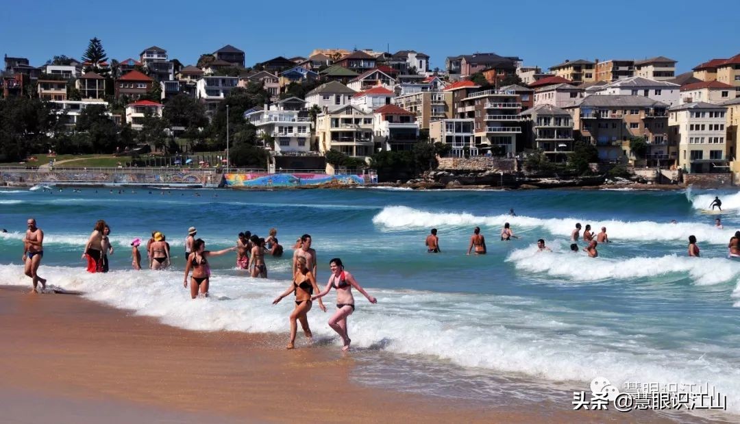 悉尼邦迪海滩,悉尼邦迪海滩新闻