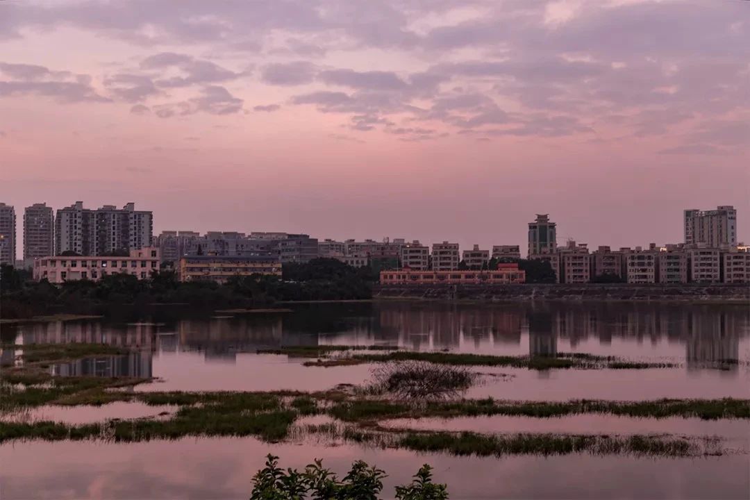 深圳11号线地铁里面看大海,深圳11号线地铁哪一段能看海
