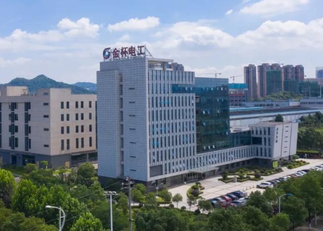 鍗栨柊鑳芥簮鐢佃溅涓轰粈涔堜細浜忔崯,鍗栨柊鑳芥簮姹借溅鐢垫睜浜忔崯