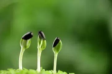 关于胎停育的那些事，你了解吗？