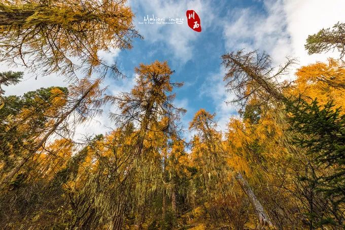 九寨沟什么最美,川西九寨沟最好的风景