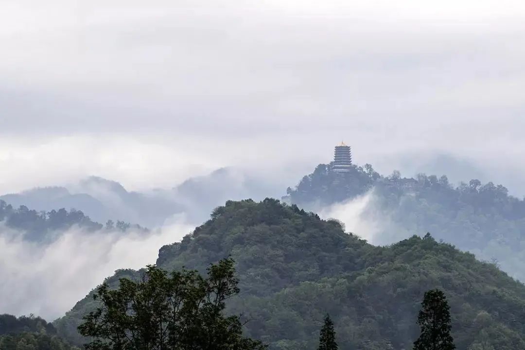 问道青城山赵玉真,问道青城山拜水都江堰