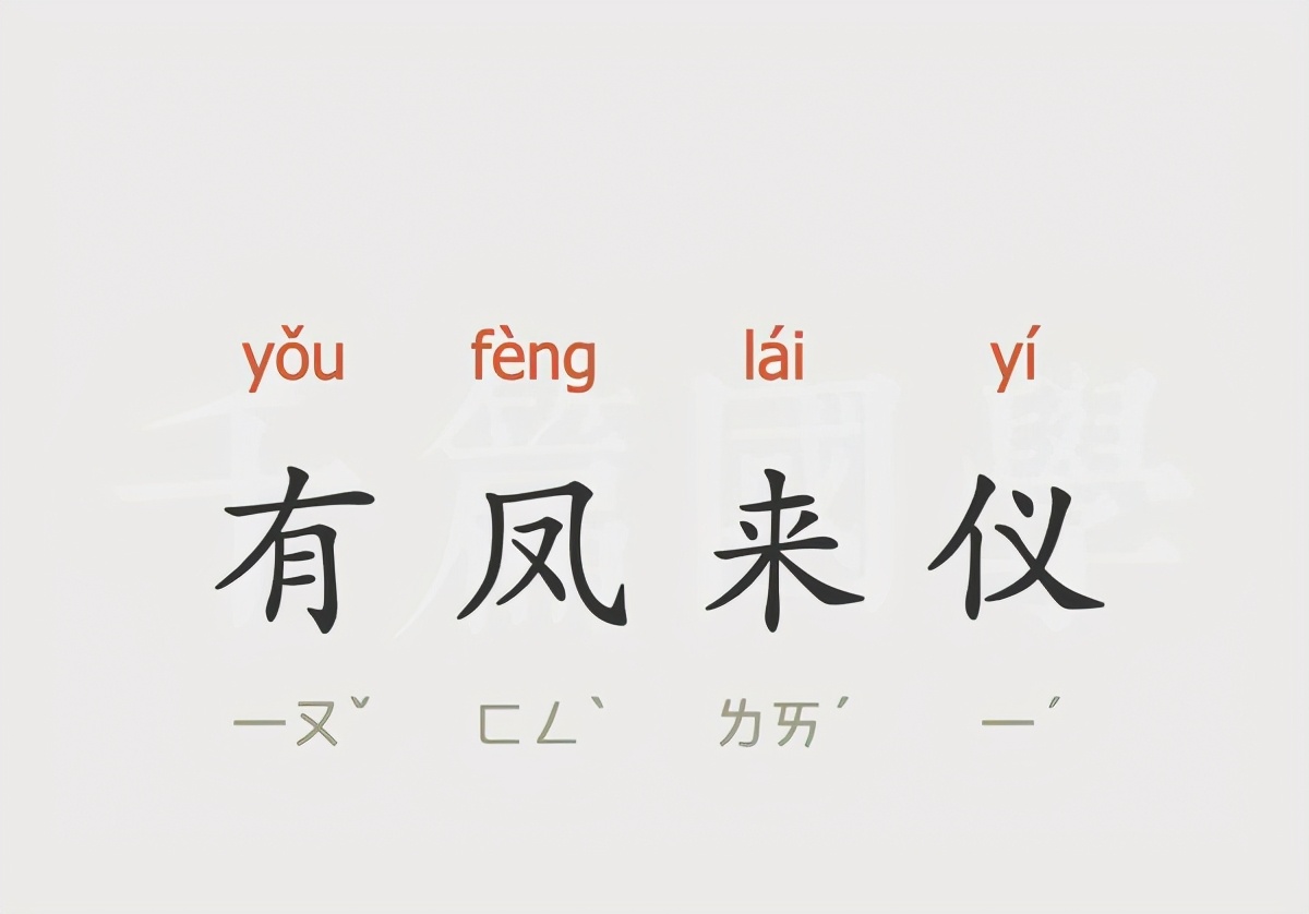 凤梨名字由来,凤梨名字的由来